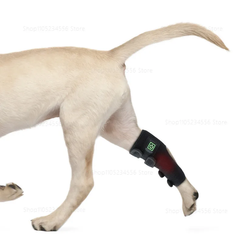 

Portable Pet Therapy Device Red Light For Dog Cat Wound Healing & Bone Fracture Recovery