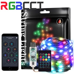 2m 5m 10m USB  Dreamcolor Lights String Bluetooth Music WS2812B RGBIC Lighting Addressable Party Wedding Garland Decoration 5V