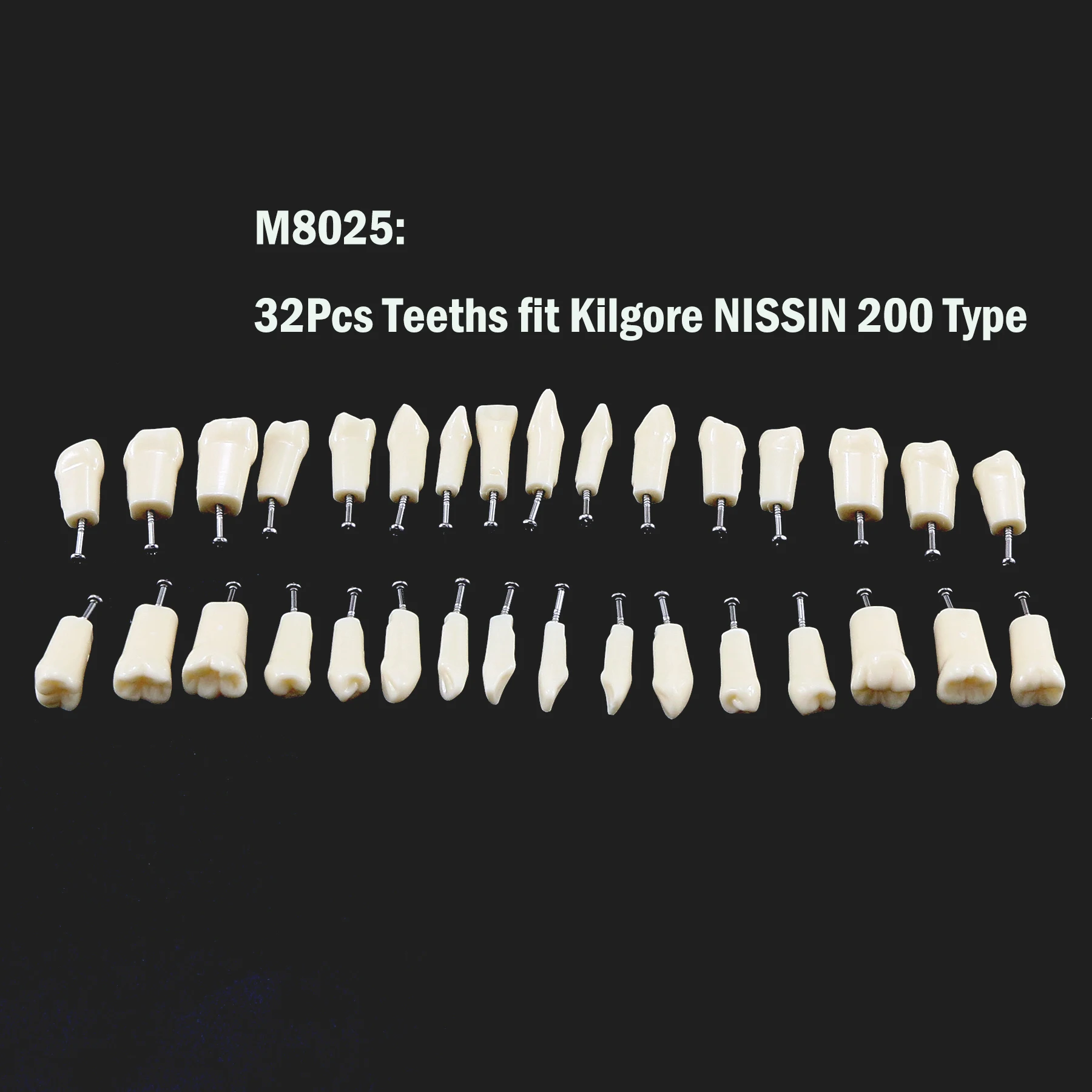 Dental Teaching Model Training Typodont Tooth Model Removable Resin Teeth fit Kilgore NISSIN 200/500 Type Simulation Cheek Demo