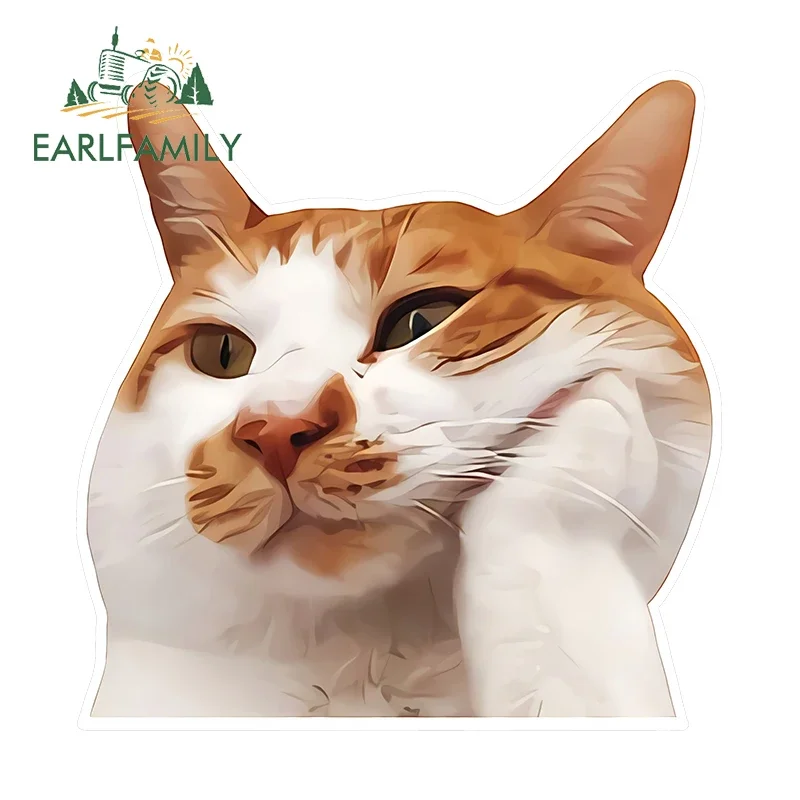 EARLFAMILY 13cm X 12.7cm for Fat Cat Meme Funny Car Stickers Creative Waterproof Decals Vinyl Kawaii Helmet Laptop Car Goods