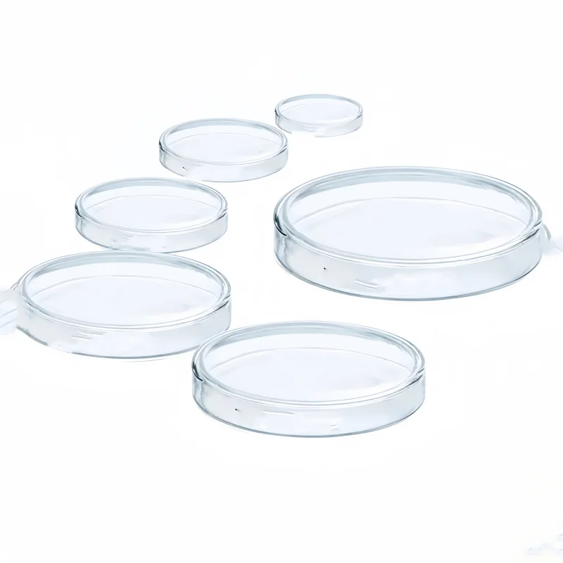 10 قطعة طبق بتري الزجاج سميكة خلية ثقافة البكتيريا طبق ارتفاع درجة الحرارة مقاومة لوحة بيولوجية سفينة تجريبية