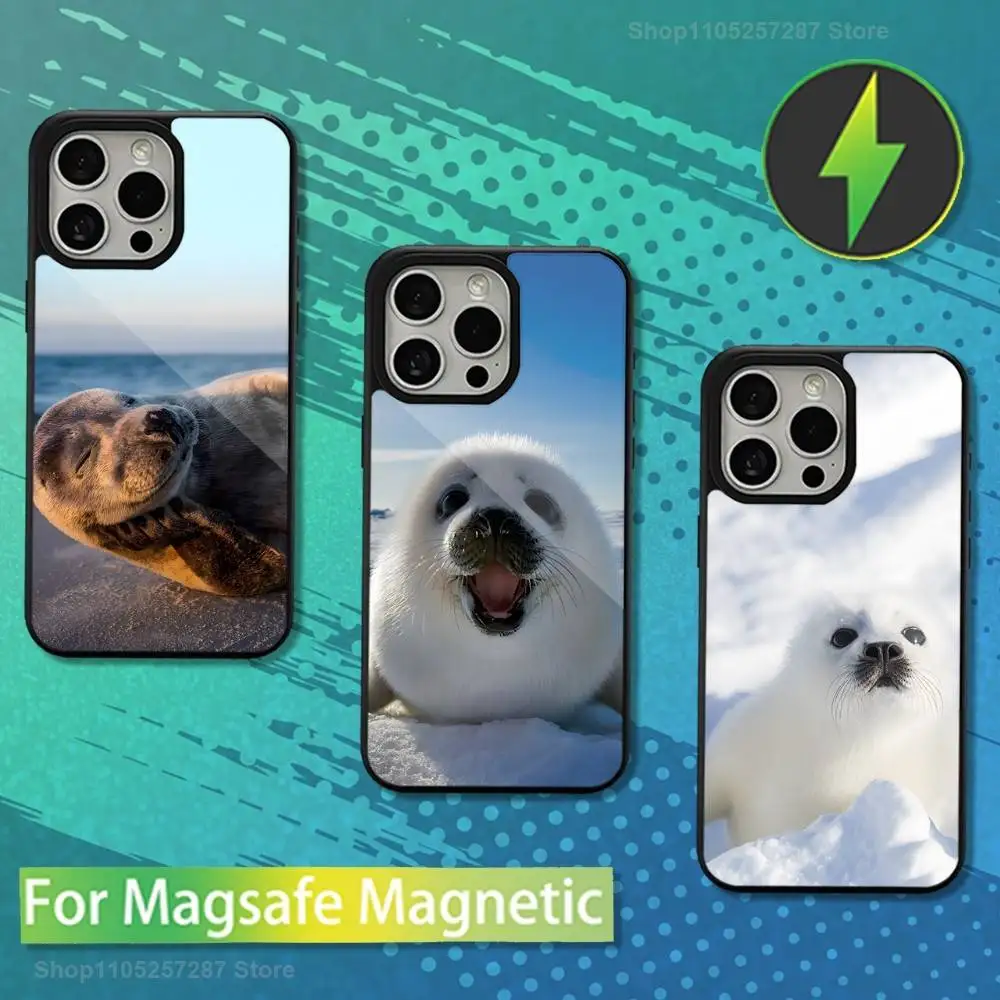 

Funny Cute Baby Seal For iPhone 15,Mini,13,Max,11,12,Pro,16,17,14,Plus,For Magsafe,Magnetic Wireless Charging Case
