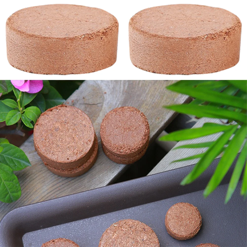 60pcs 코코넛 겨 묘목 블록 실내 실외 식물을위한 작은 크기의 영양 토양 선인장 다육 이식