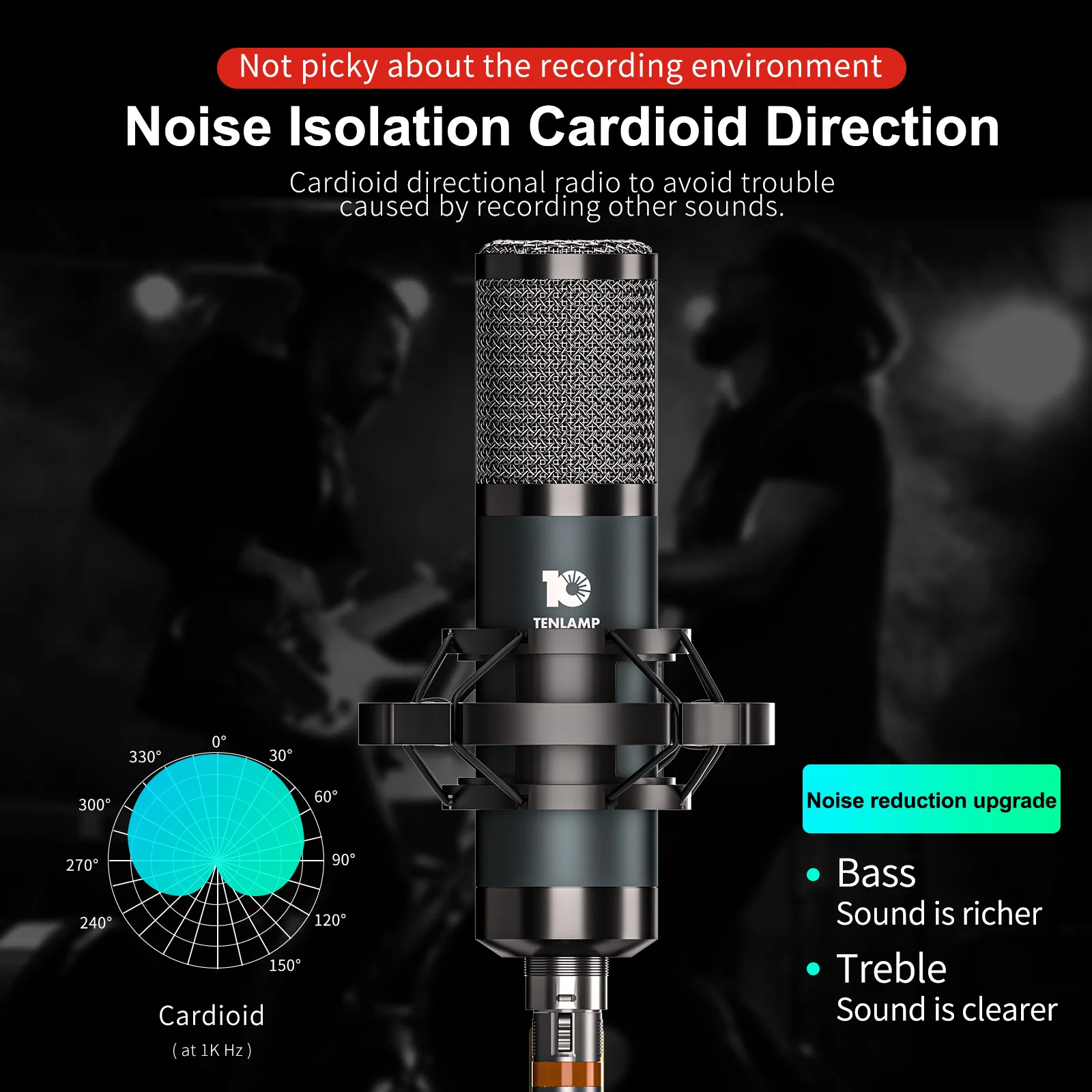 TEN10 Condenser Microphone, 26mm/ 34mm Large Diaphragm XLR Studio Recording Mic for Vocals, Podcasting, Streaming, YouTube, Home Studio, Music Production, Voice Over & Content Creation