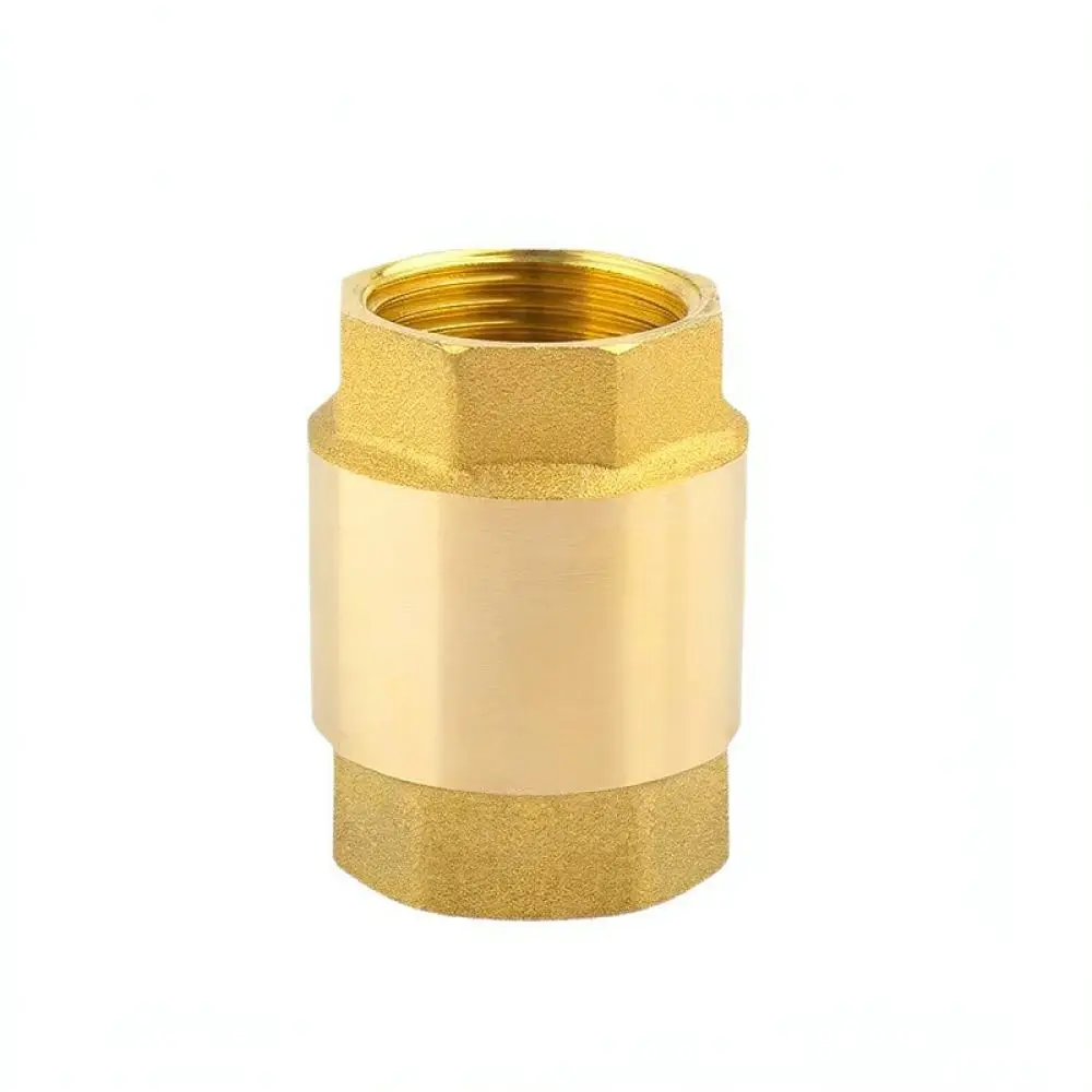Industrial Grade Brass Vertical Check Valve Spring Type Non Return Connector Thickened Water Pipe Flow Control
