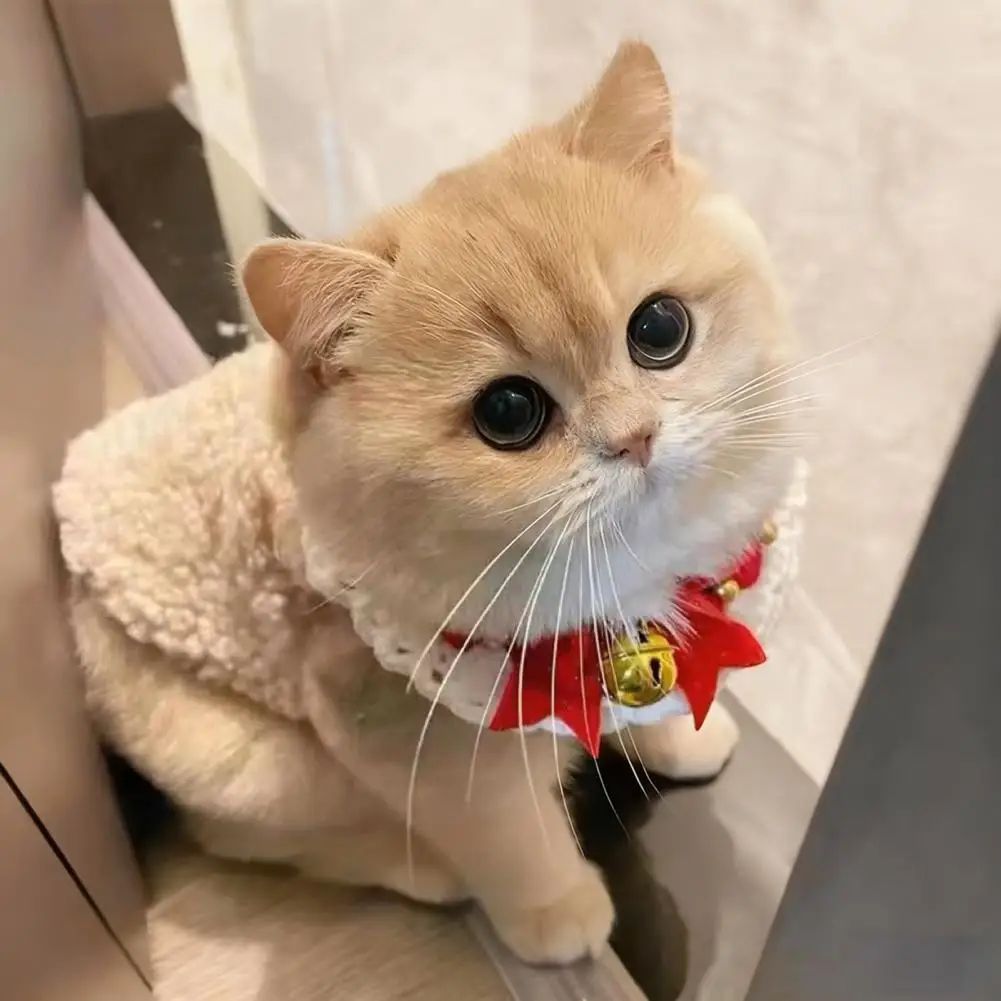 High Pet Apparel Pet Clothes for Dogs Cozy Fluffy Cat Vest for Winter Outings Warm Pet Apparel with Button Closure Soft for Wear