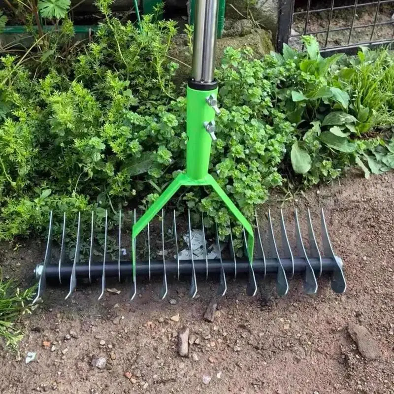 Imagem -03 - Stainless Steel Lawn Thatching Rake Ferramenta de Jardinagem Cleaner Fácil de Montar Garden Solo Rake Lawn Grass