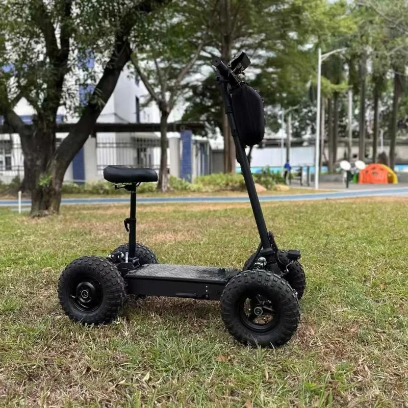 Self-balancing 2WD and 4WD Electric Scooter Trotinette Electrique with High Power Motor Lithium Battery for Off-road All Terrain view 3