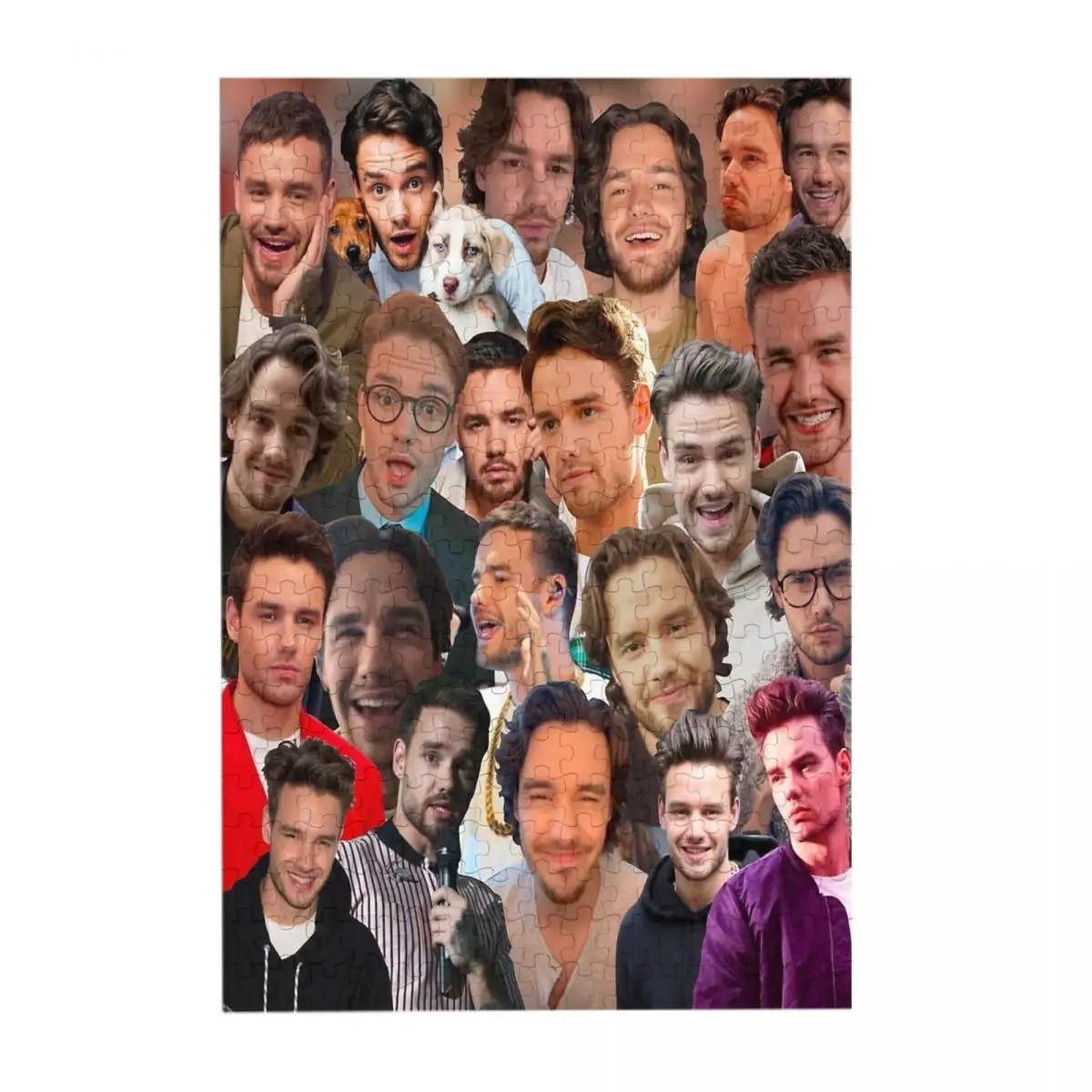 Liam Payne Photo Collage Jigsaw Puzzle for Kids 300-Piece Wooden Puzzles Pieces Fun Enhances Concentration Gift for Chidlren