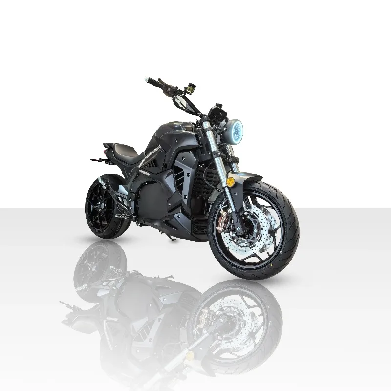 Disc RCS And Brembo Racing Motorcycles 8000W Dirt Bike Electric Motorcycle