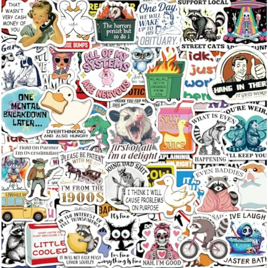 

300 Pcs Stickers for Adults, Water Bottle Vinyl Meme Laptop Waterproof Cute Sticker Pack, Scrapbook Planner Journal Stickers Su