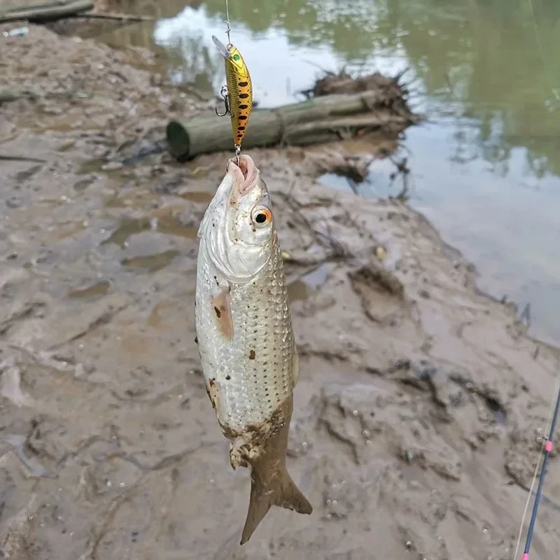 #71 Best Fishing Tackle to Buy In 2026