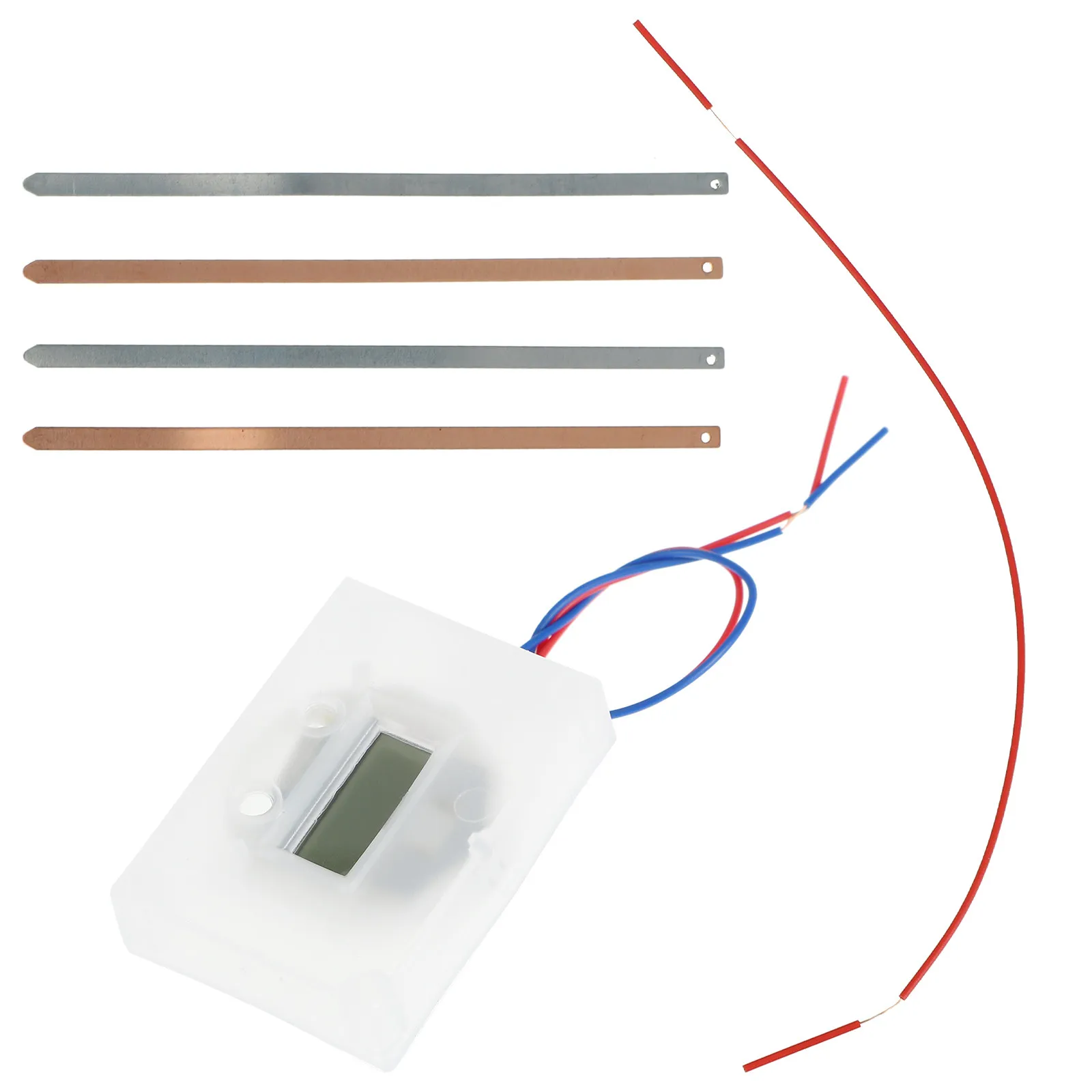 

1 Set Diy Fruit Kit Science Experiment For Students Educational Hands-On Learning Tool Making Set Fruit Clock
