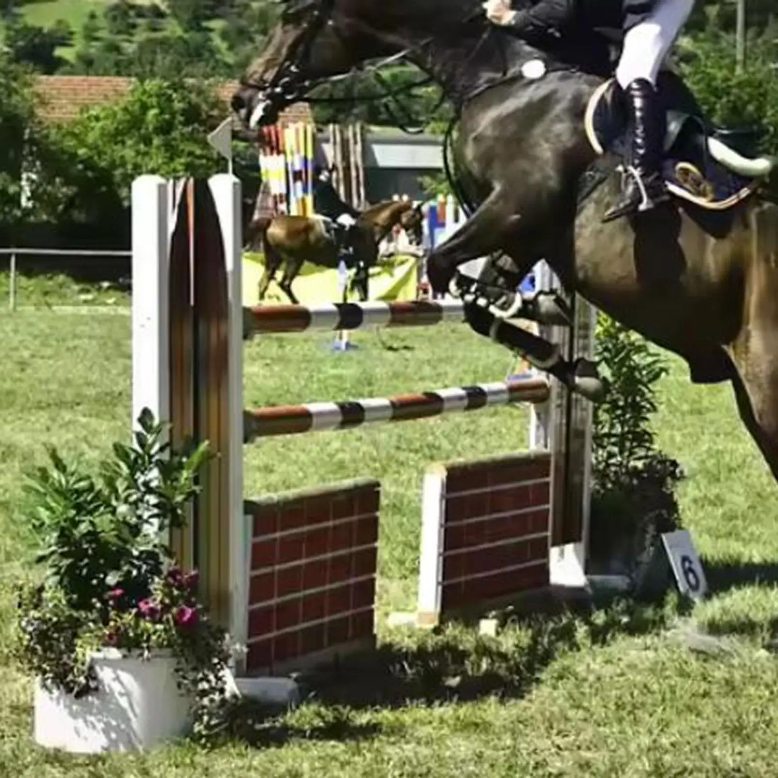 2x copas para saltar sin pines de competición, soportes para vasos para obstáculos para montar a caballo