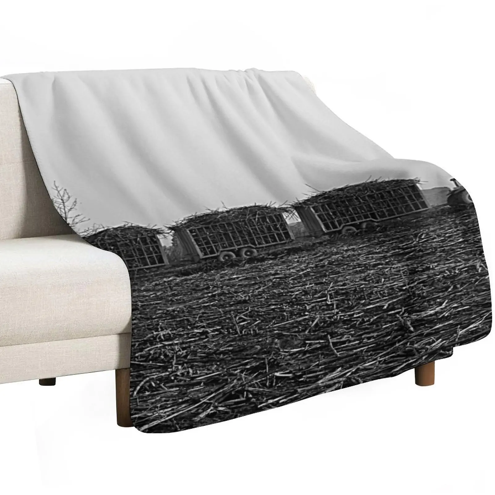 Sugar Cane Harvest, Harvested Field, Plantation, Panorama, Africa Throw Blanket Summer Warm Blankets For Baby Blankets