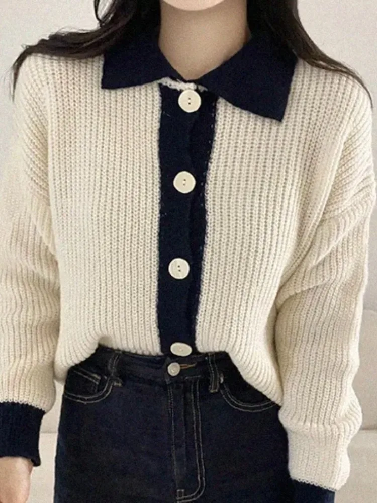 Chic Early Spring Thiened Knitted Open Cardigan Lazy Loose  Collar Sweater Jaet Women's Soft Straight Tube ape