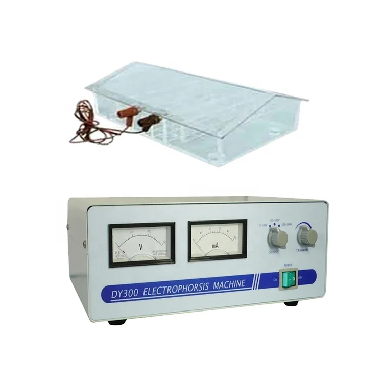 Gel Eletroforese Machine, operação laboratorial básica, alta qualidade, para venda