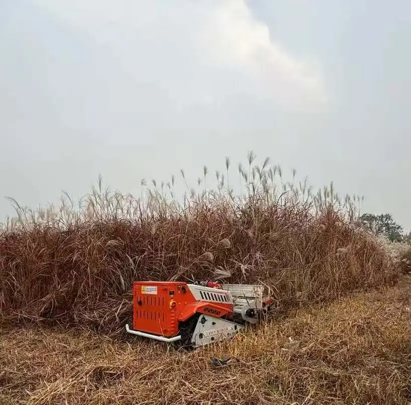 Mini All Terrain Cordless 14 PS Diesel Crawler Track Typ Ferngesteuerter Rasenmäher zum Grasschneiden