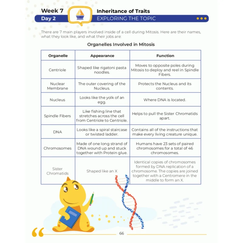 مصنف الممارسة اليومية للعلوم من الدرجة السادسة لمدة 20 أسابًا من الأنشطة الممتعة والحياة البدنية وعلم الفضاء والهندسة والفيديو