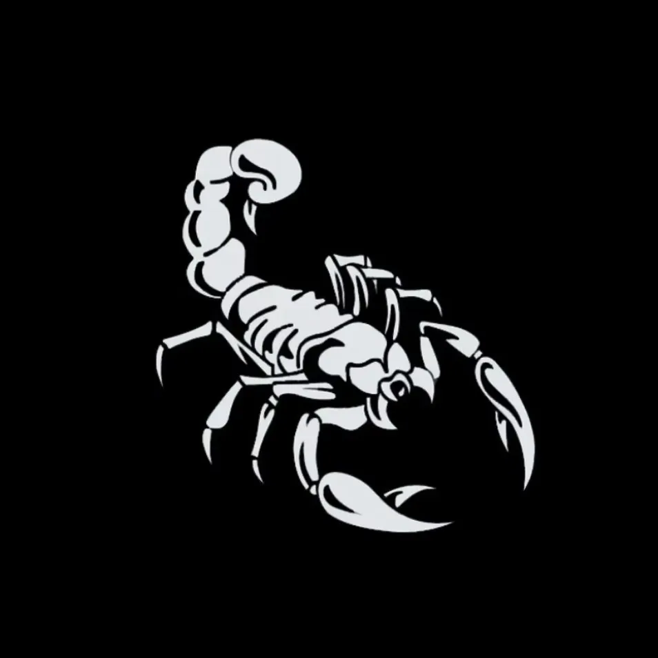 1 Piece 30cm Cute 3D Scorpion Car Stickers Car Styling Vinyl Decal Sticker For Cars Acessories Decoration 2019 1PC