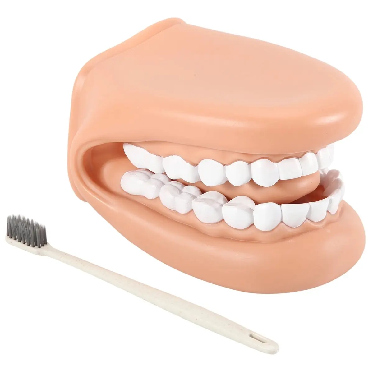 HGHO 1Pcs Mouth Puppet with Tongue Teeth Mouth Hand Puppet Dental Mouth Model with Toothbrush for Boy Girl Educational Tool