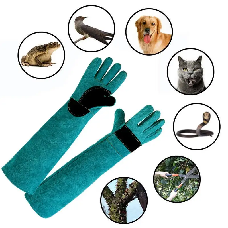 Gants de protection en cuir imperméables multifonctionnels pour animaux de compagnie, anti-morsure, manches longues, manipulation, travail