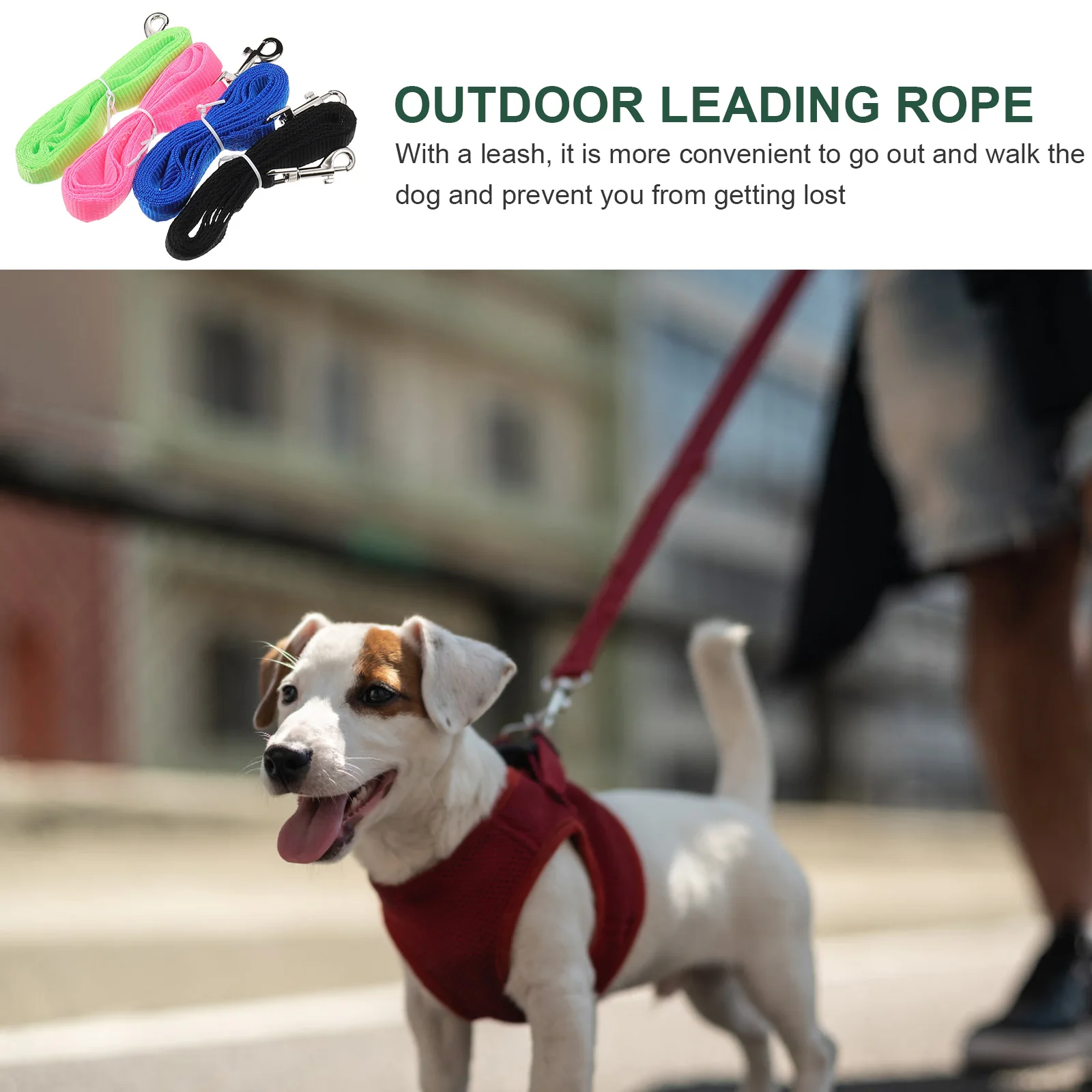 

4 set Dog Harness Set Lightweight Mesh Vest for Outdoor Walking Blue Green Pink Pet Supplies Dog Leash Adjustable