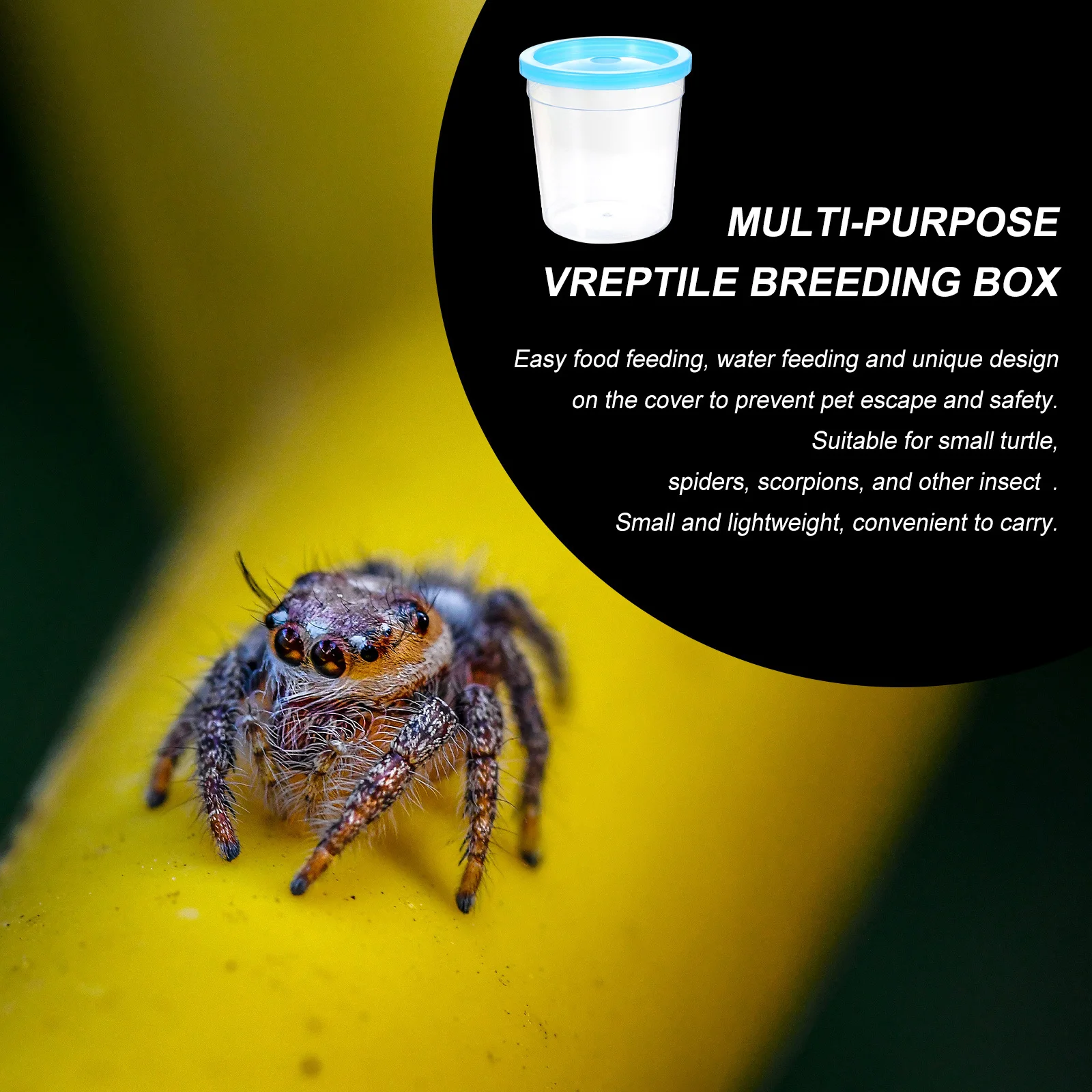 

1Pcs Reptile Feeding Box Transparent Mini Turtle Tank Insect Cup Jellyfish Pet Breeding Container Escape Proof