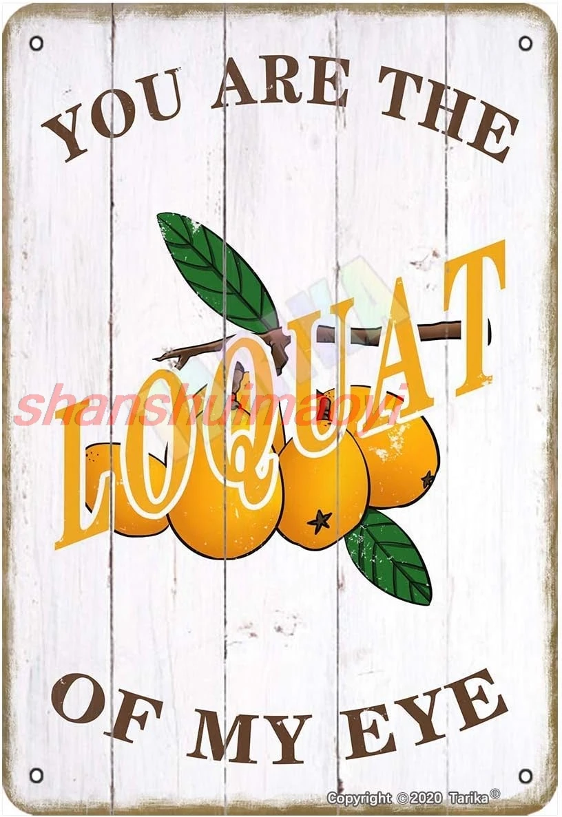 You are The Loquat of My Eye for Home,Farmhouse,Room,Kitchen,Club Metal Vintage Tin Sign Wall Decoration 12x8 inches ALI