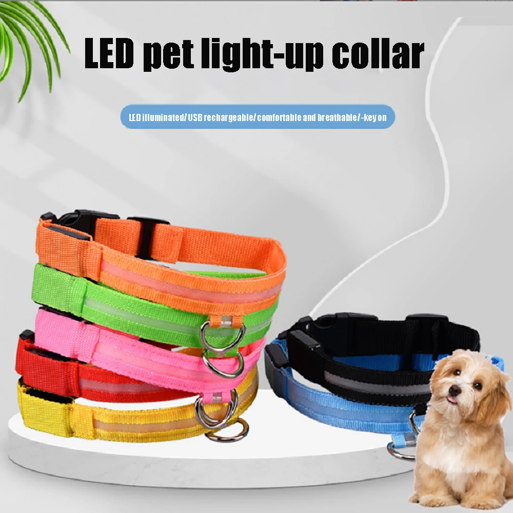 Novelties Dog Light Ring Nightlight Prevents Loss Neon Lamp  LED Light-up Dog Collar Luminous Collar Light-up Pet Belt Lamp