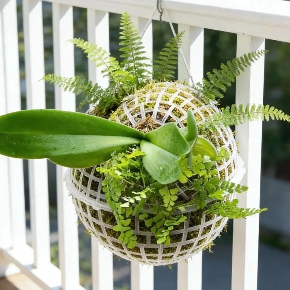 5Pcs Reusable Empty Porous Suspension Ball Plastic Diameter 80/100/150mm Hanging Planter Balls Drainage Holes Hollowed
