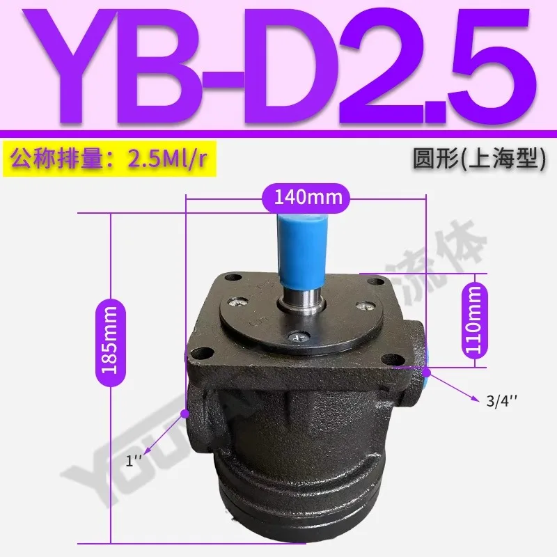 YB-D6.3 Pompa a palette D4 D2.5D10 D12 D16 D20 D25 D32 D40 YBD50 63 80 100