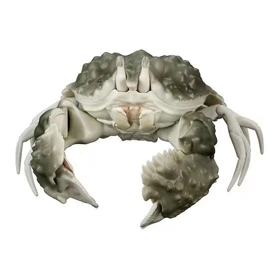 Japanese Bandai Genuine Scale Model Simulated Animal Model Joint Mobility Crab Cognitive Model Toy Action Figure Toys