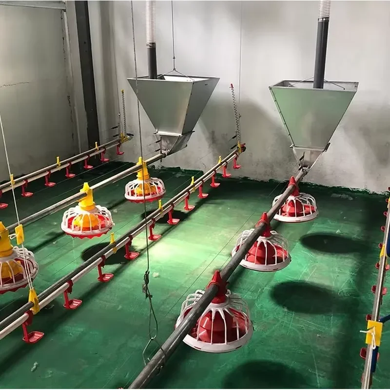 Fully Automated Feeder Production Line for Free-range Ground Feeding Management Broiler Farms