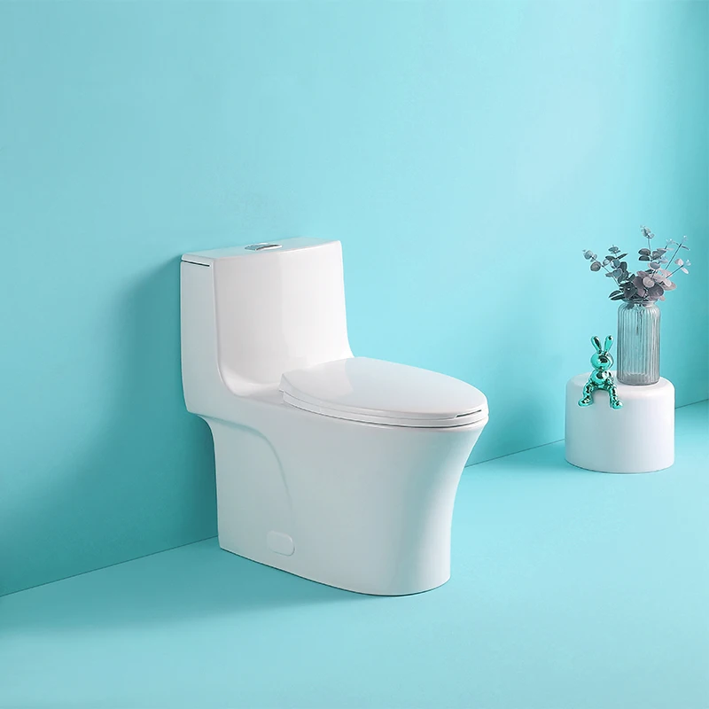 1.1/1.60 GPF Dual-Flush One Piece Toilet, Water-Saving Elongated Comfort Height Floor Mounted, Soft Closing Seat, 1000 Gram Map