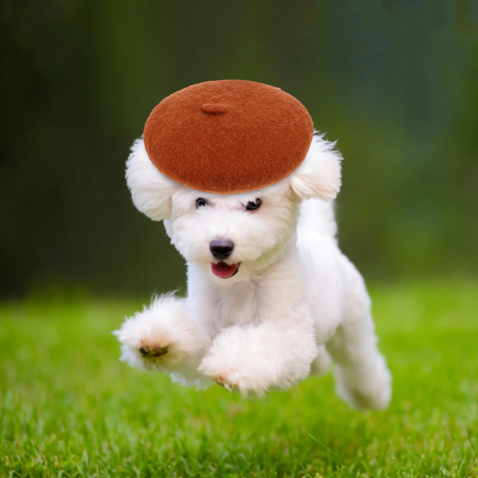 

Pet Party Hat Cute Beret Dog Cat Birthday Costume Cap Lovely Headwear Accessory Pet Beret Hat Birthday Party Dog Cap