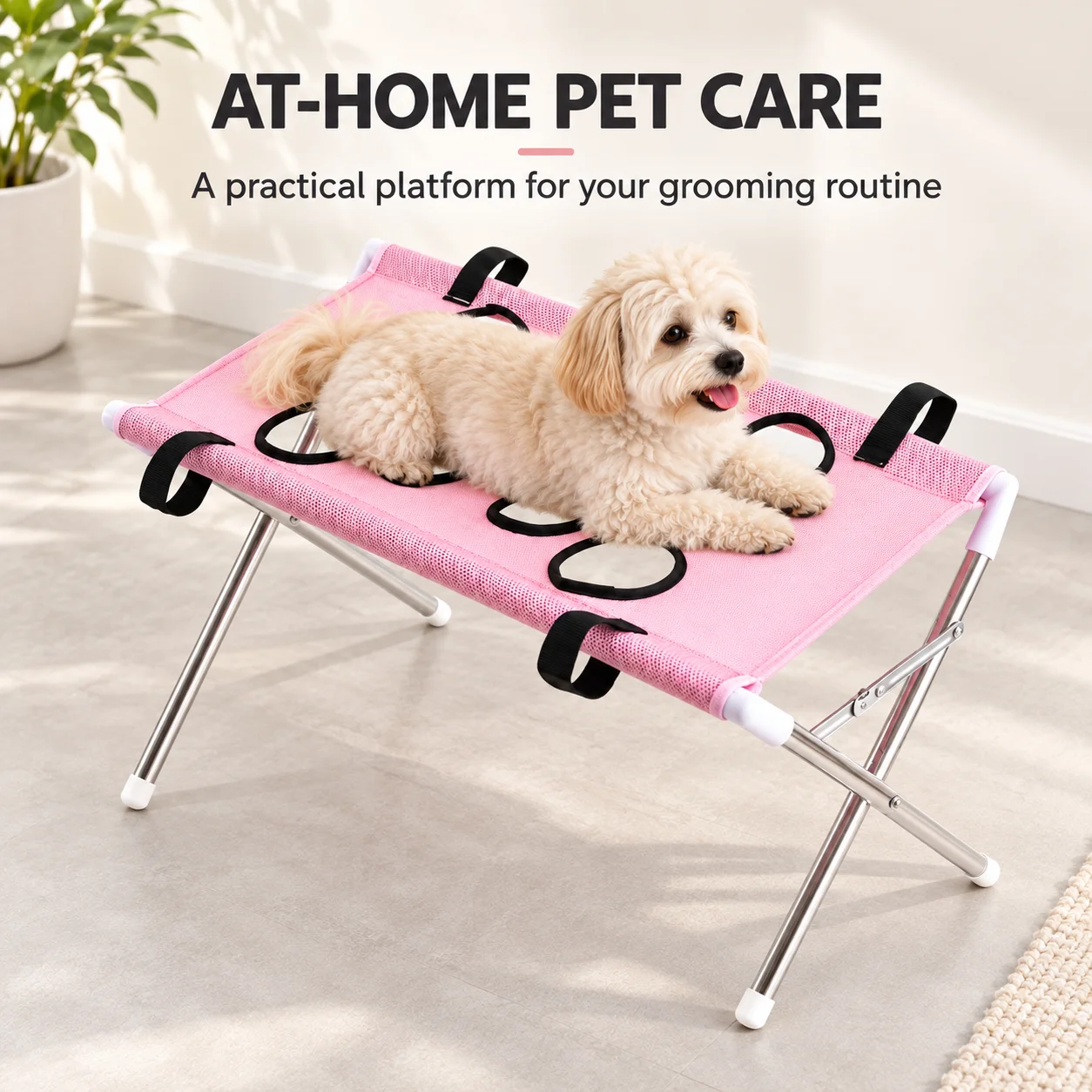 #27 Best Dog Grooming Brushes to Buy In 2026