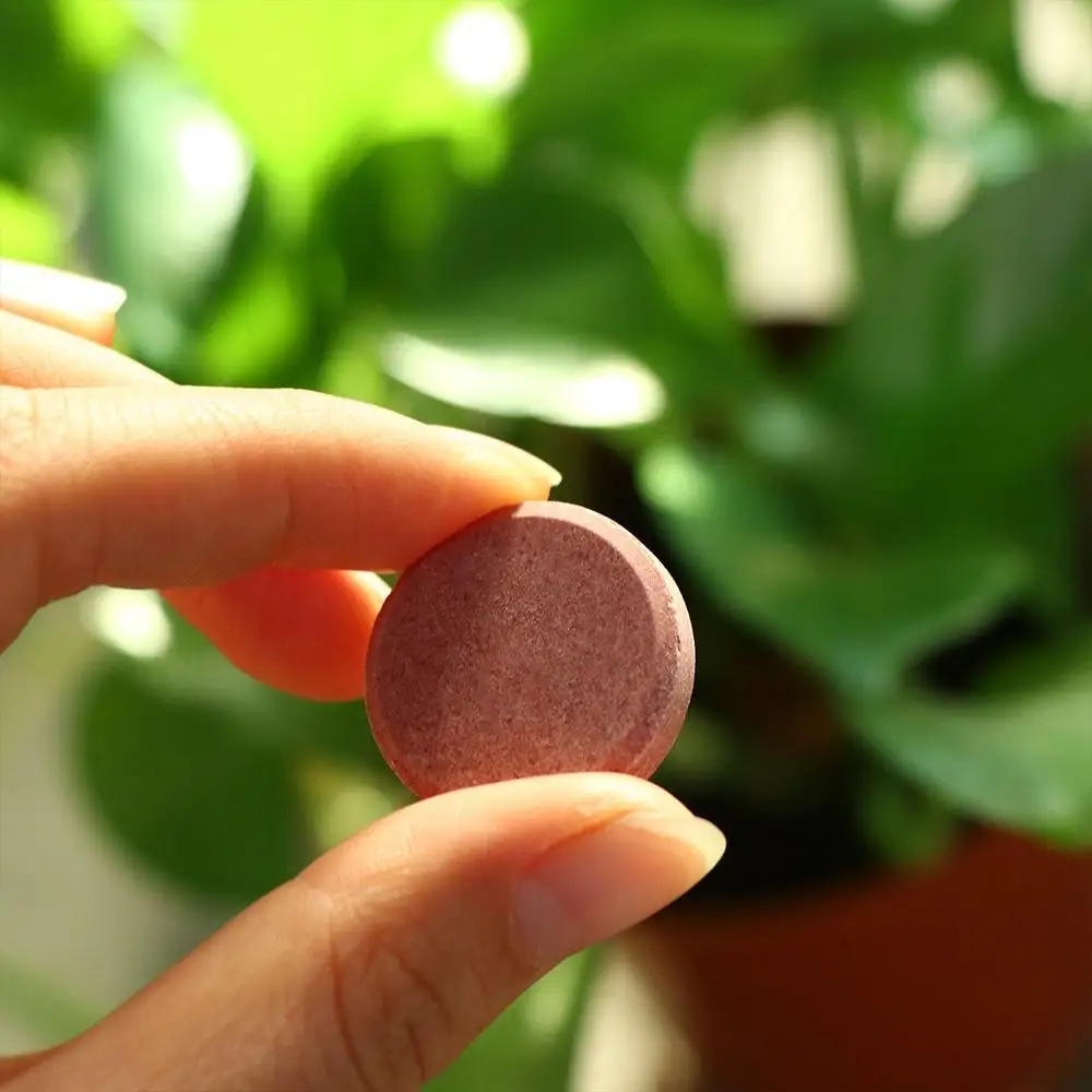 Universal Phosphorus Organic Fertilizer Potassium Speed Up Slow-Release Tablet Growth Slow Release Agent Plants Potted