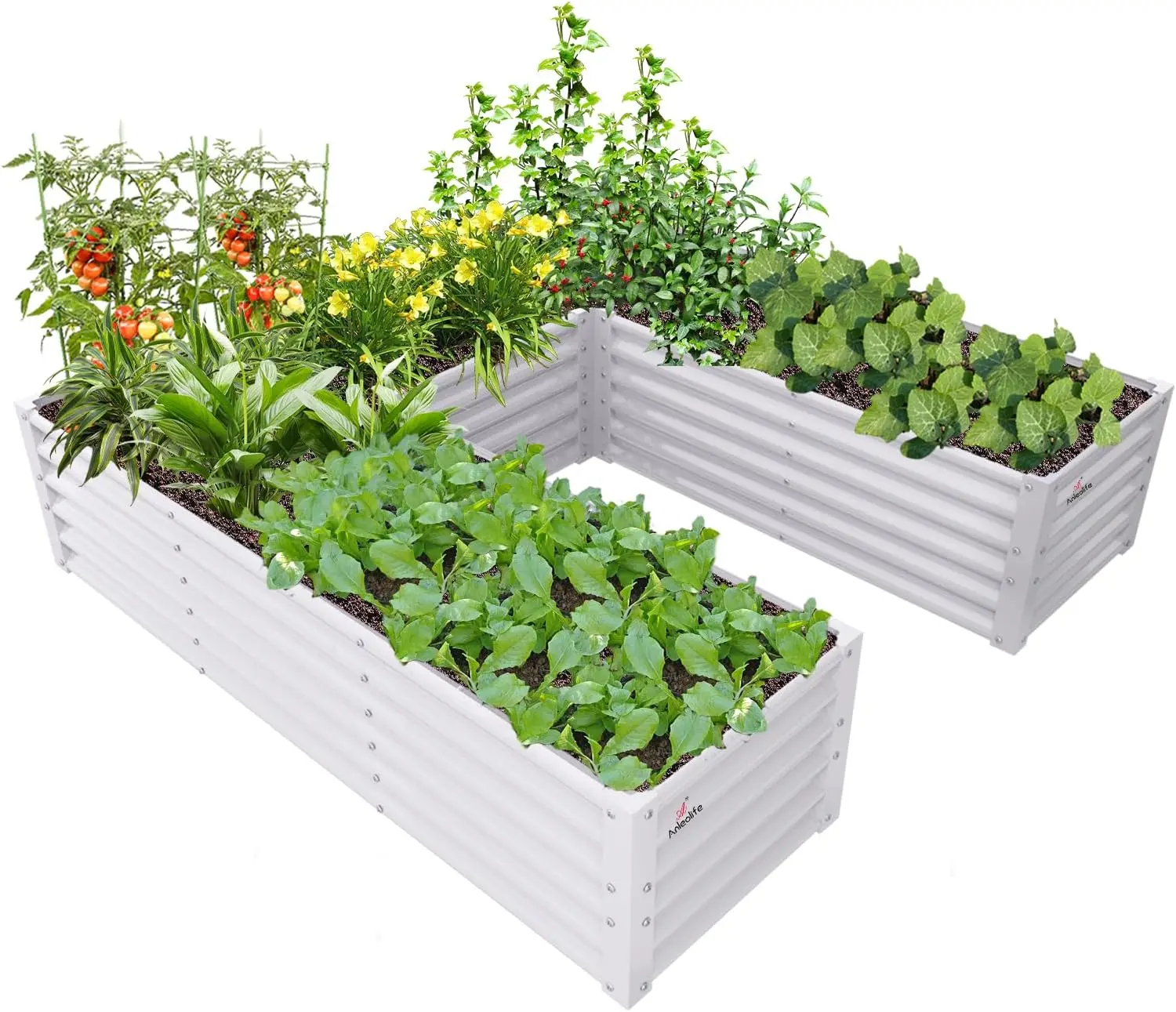 

U-Shaped Outdoor Galvanized Raised Garden Bed, 6x6x1.5ft, Center-Access Bottomless Planter Box, 22-Gauge Corrugated Meta