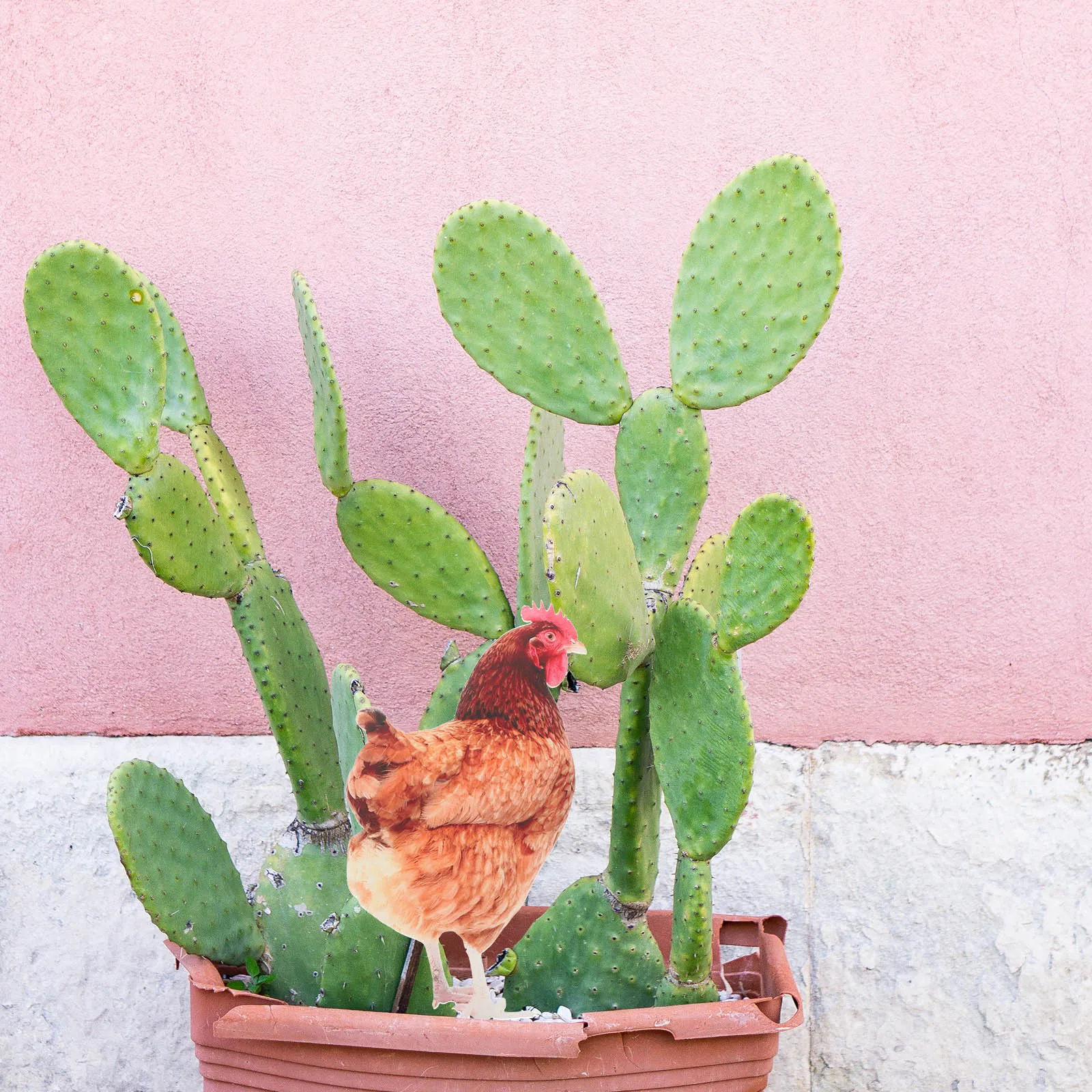 

Acrylic Stakes Chicken Decor Lawn Ornaments Outdoor Decoration Yard Stake For Courtyard Park Flower Pot Durable Weather