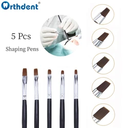 Stylos à brosse en résine dentaire, dentisterie saillante, dents en porcelaine arina, ciment composite, outils oraux de dentiste adhésifs, 5 pièces