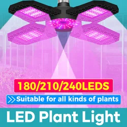 200W LED spettro completo coltiva la luce E27/E26 deformabile pianta verde riempimento lampada lampadina scatola di crescita idroponica semi coltivazione illuminazione