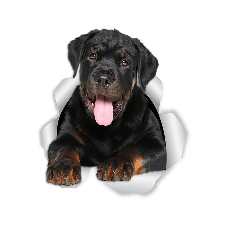 M463 Wurst Hund Rottweiler Hund Yorkshire Terrier Hund PVC Haushalt Dekoration Wand Aufkleber Toilette Aufkleber – Detail 17