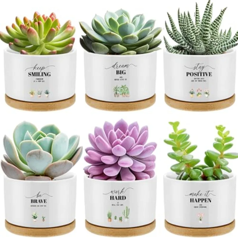 

6 Pcs Inspirational Succulent Pots with Bamboo Tray Mini Ceramic Planters Appreciation Gifts for Employees Teachers Nurses Cowo