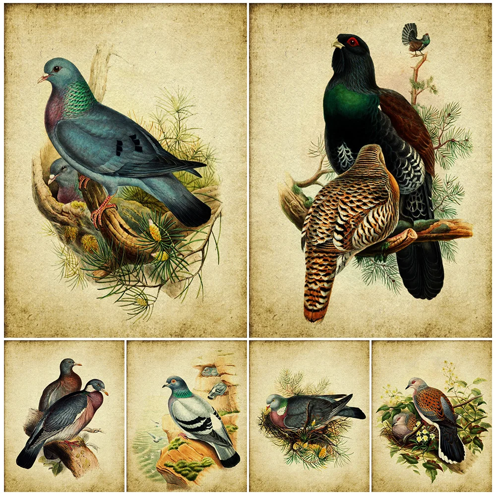 Wood Grouse Bird,Turtle Dove,Wood Pigeon,Vintage Wall Art Canvas Painting,Rustic Instant Bird Art Poster Print Home Decoration