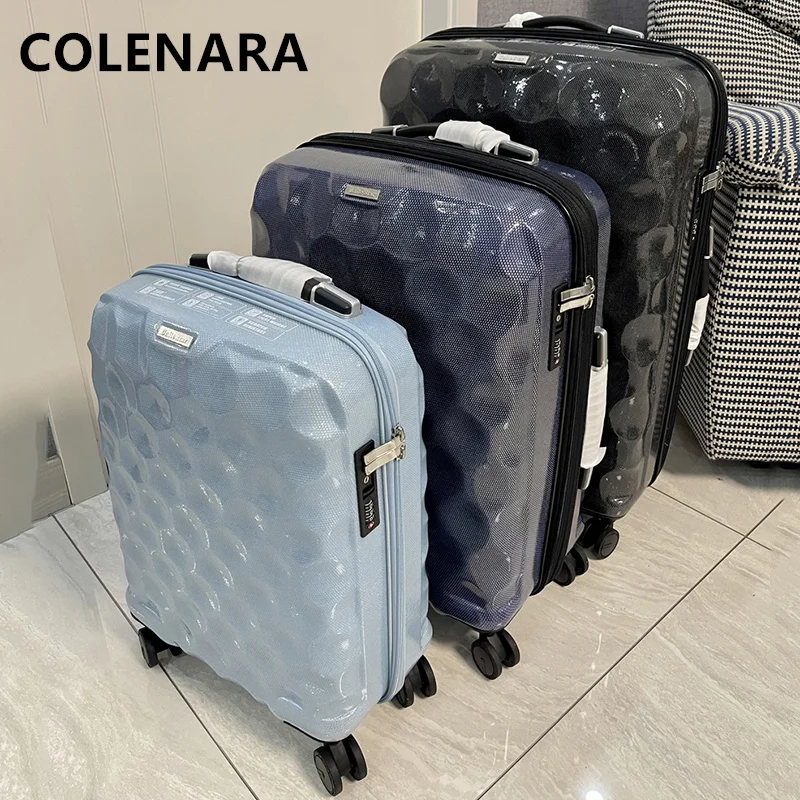 COLENARA 24