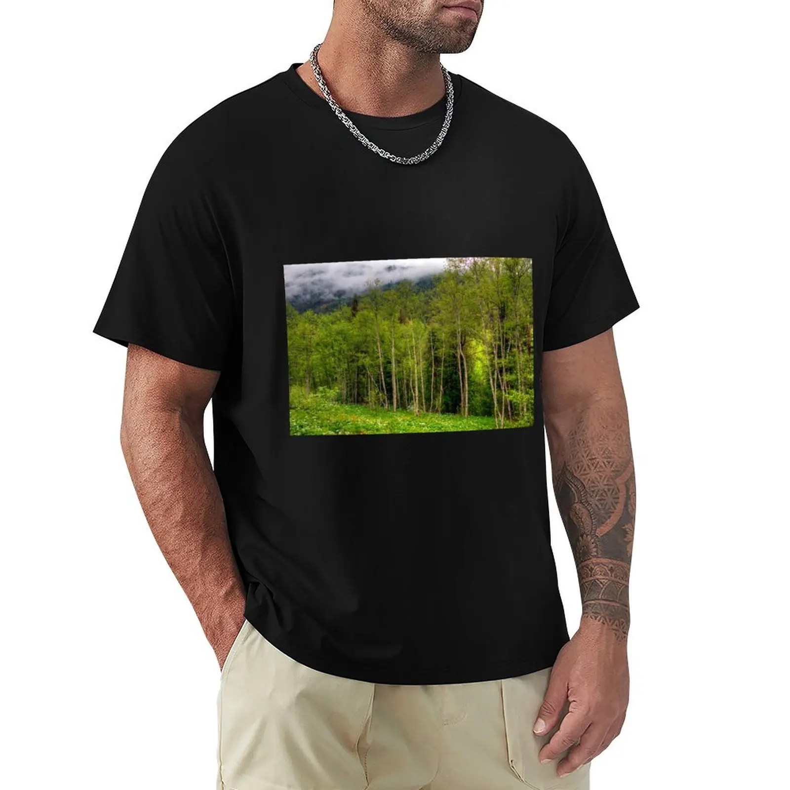 

Spring meets winter in the Alps T-shirt oversized aesthetic clothes kawaii clothes Men's clothing