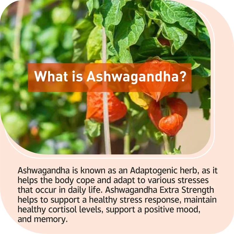 Ashwagandha Extra Strength - Support Stress Improve Sleep Brain Health Muscle and Strength Boost Immunity