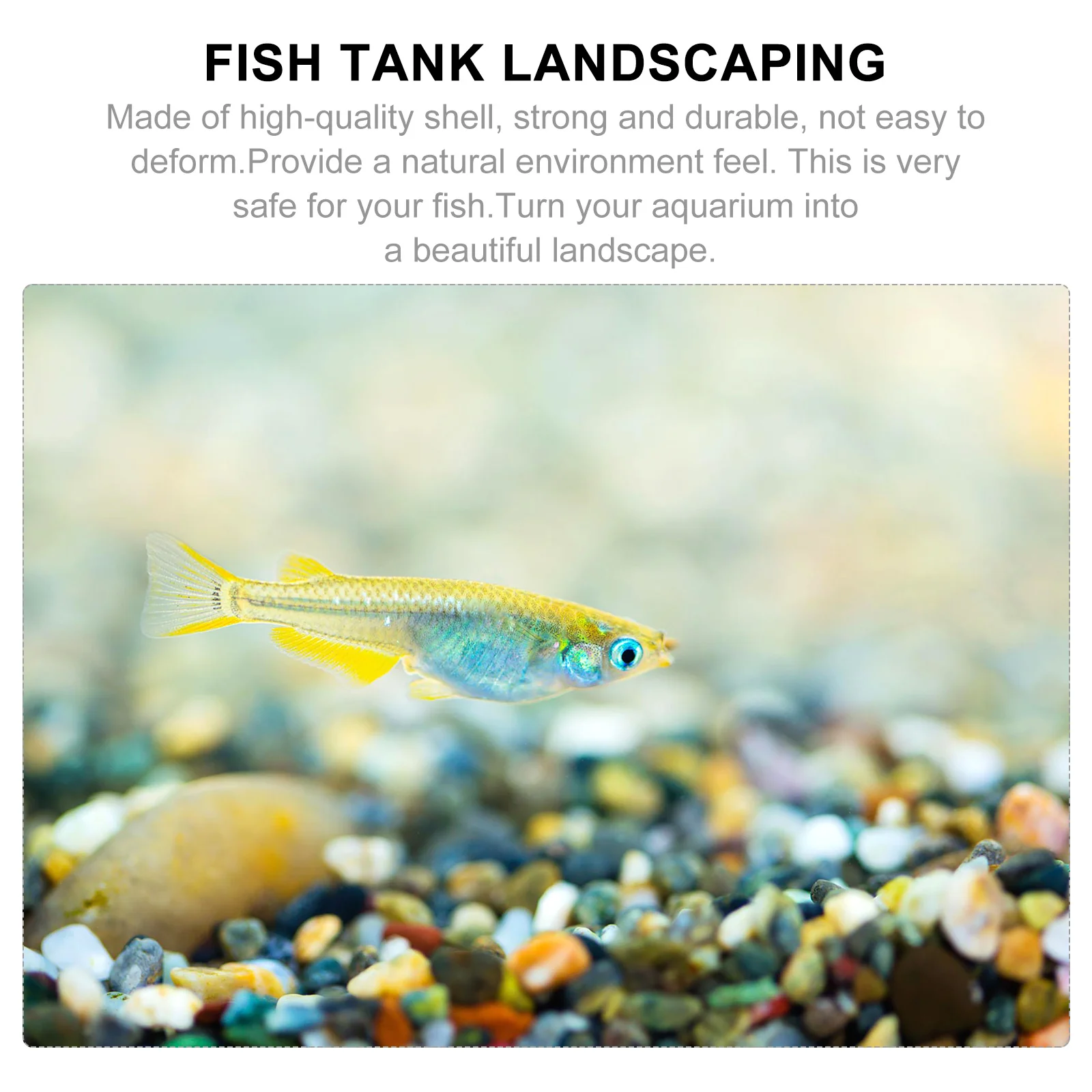 

12Pcs Natural Shell Conch Ornament for Aquarium Decoration Fish Tank Decor Underwater Landscape Bonsai Craft Aquarium Decoration