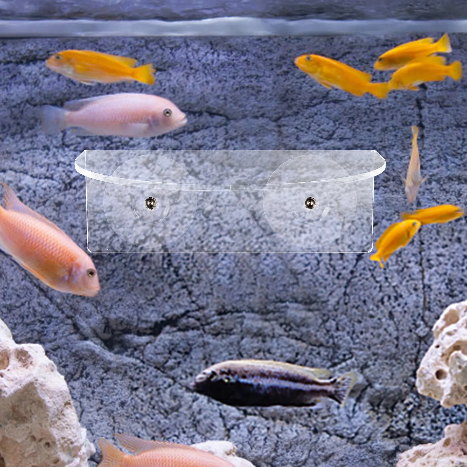 

Набор из 1 прозрачной акриловой подставки для растений с присоской для аквариумных растений, прозрачный держатель для растений